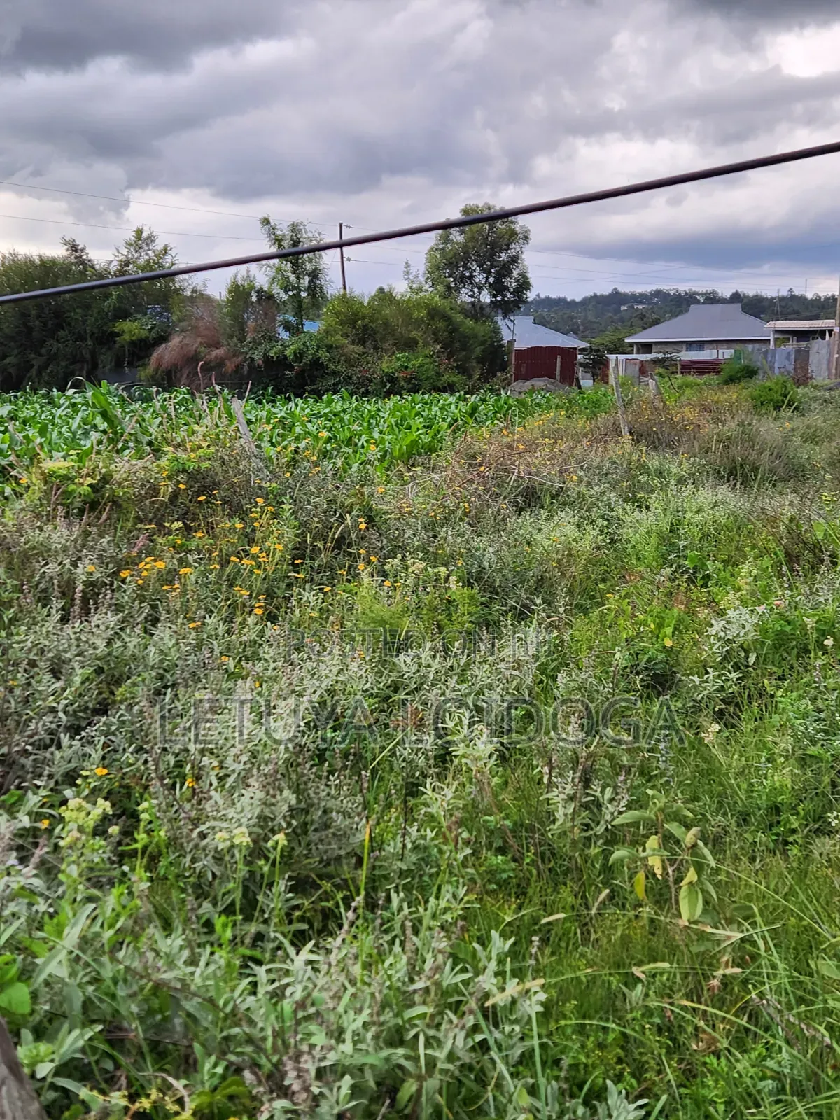 Prime 1⁄4 Acre Plots Ngong-Kibiko in Kibiku