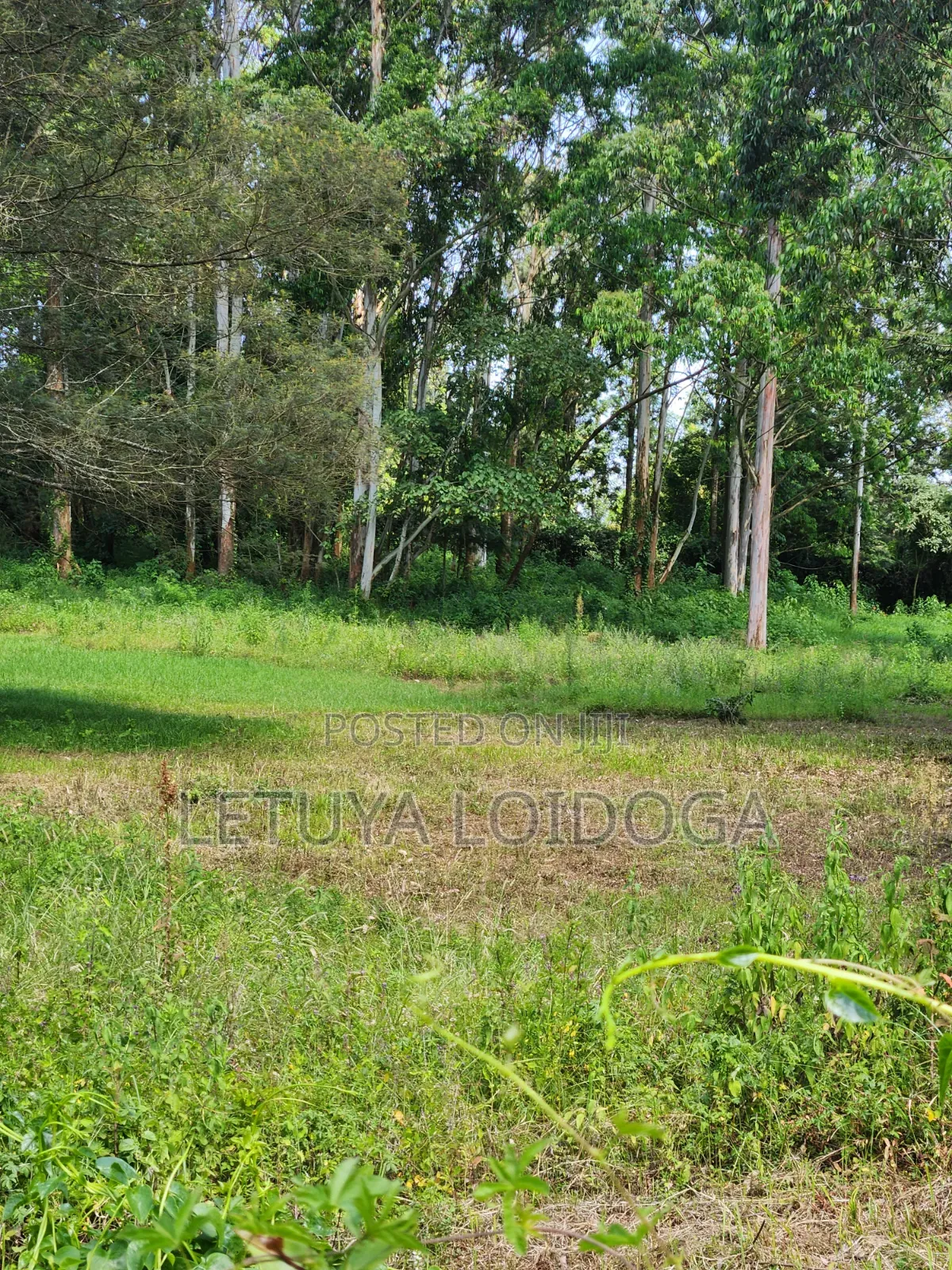 Prime 3 Acres Ngong-Kahara in Matasia