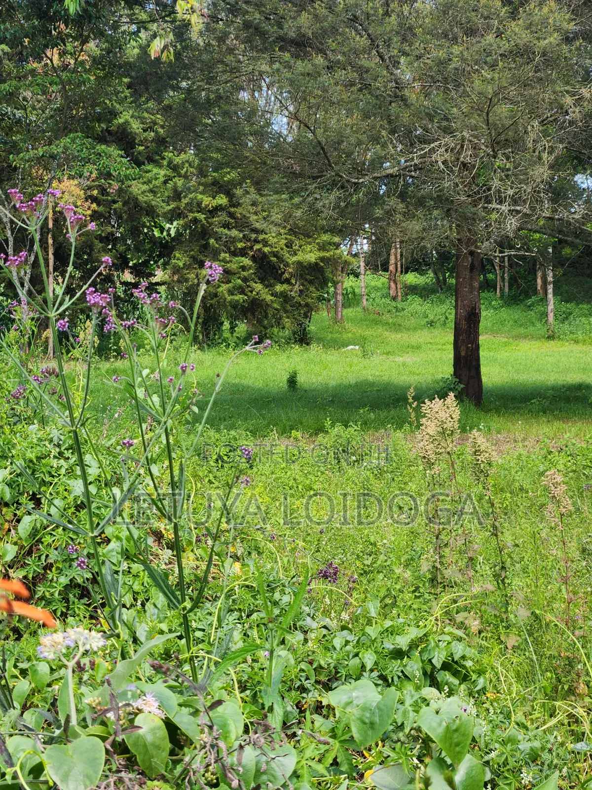 Prime 3 Acres Ngong-Kahara in Matasia