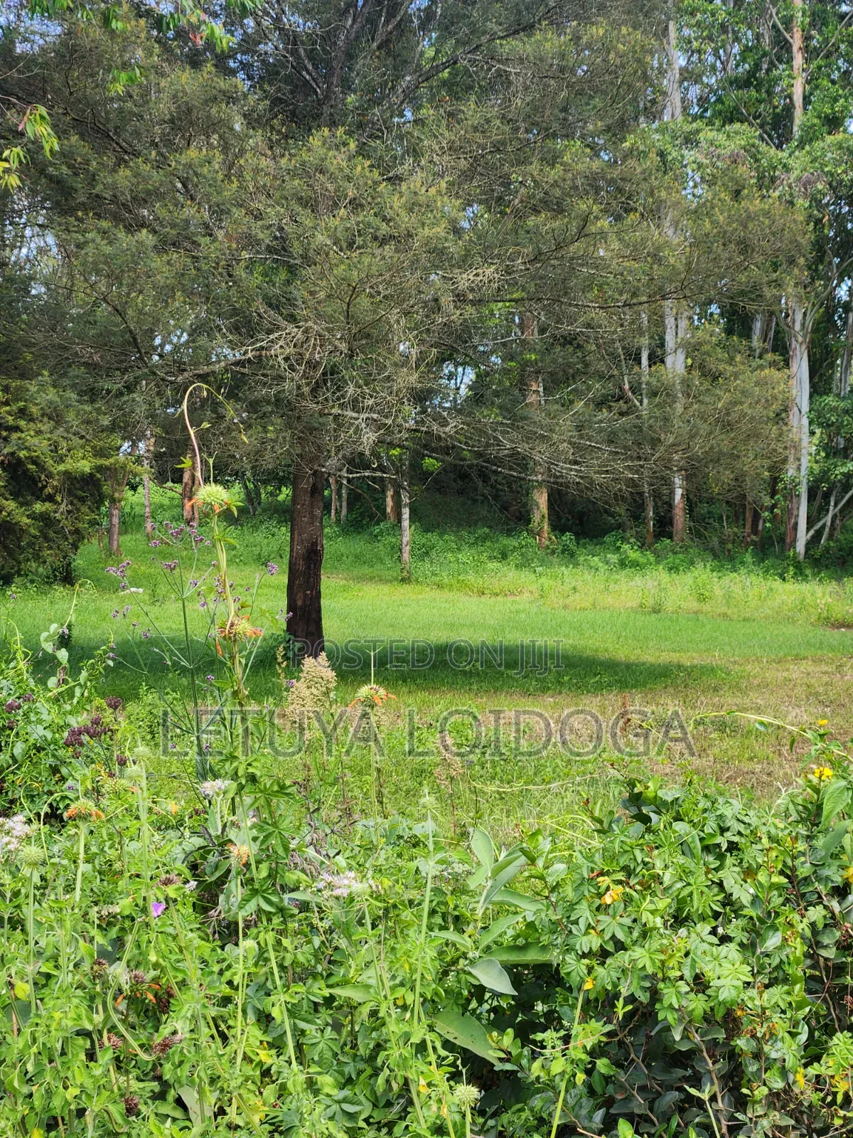 Prime 3 Acres Ngong-Kahara in Matasia