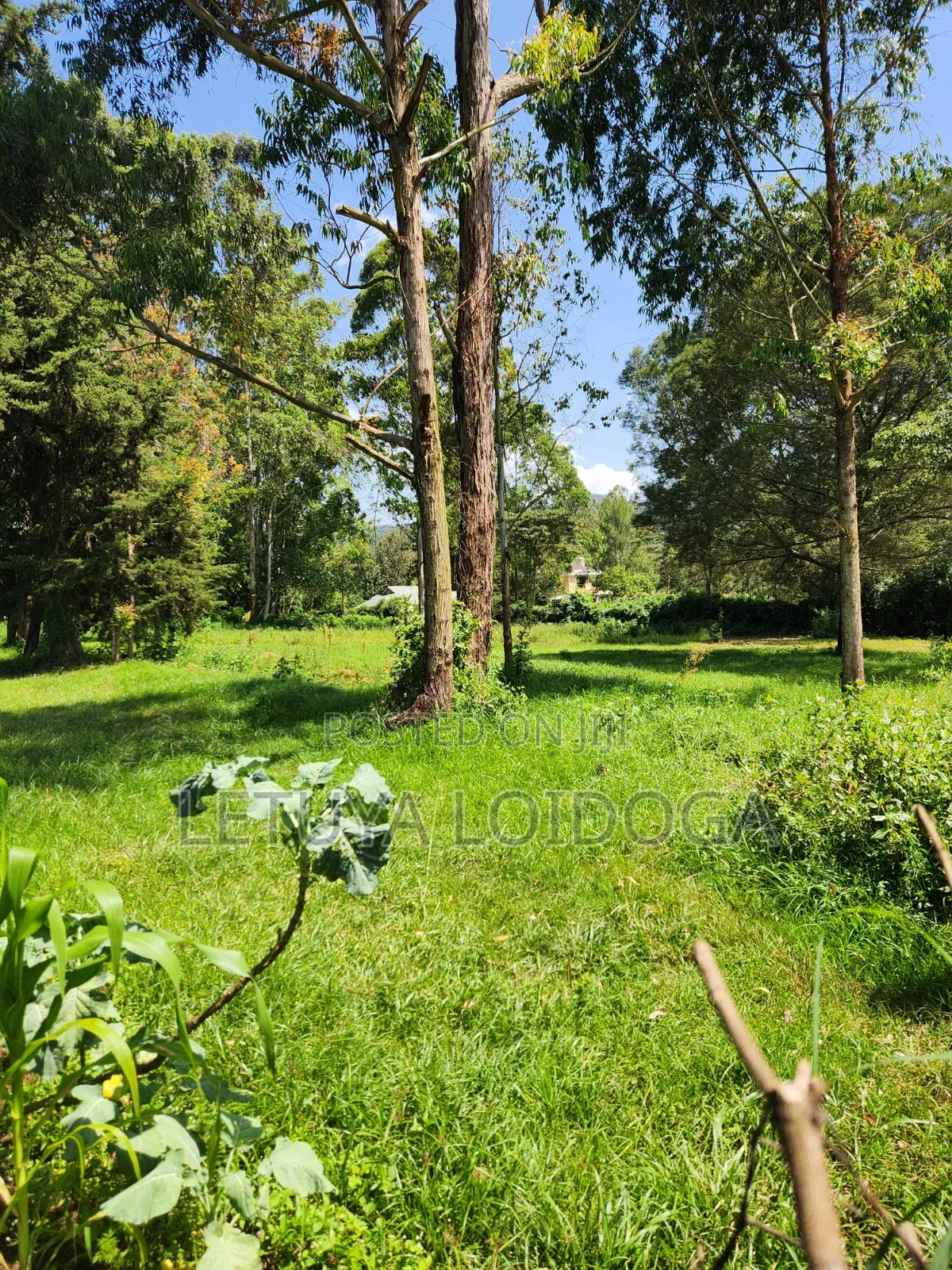 Prime 3 Acres Ngong-Kahara in Matasia