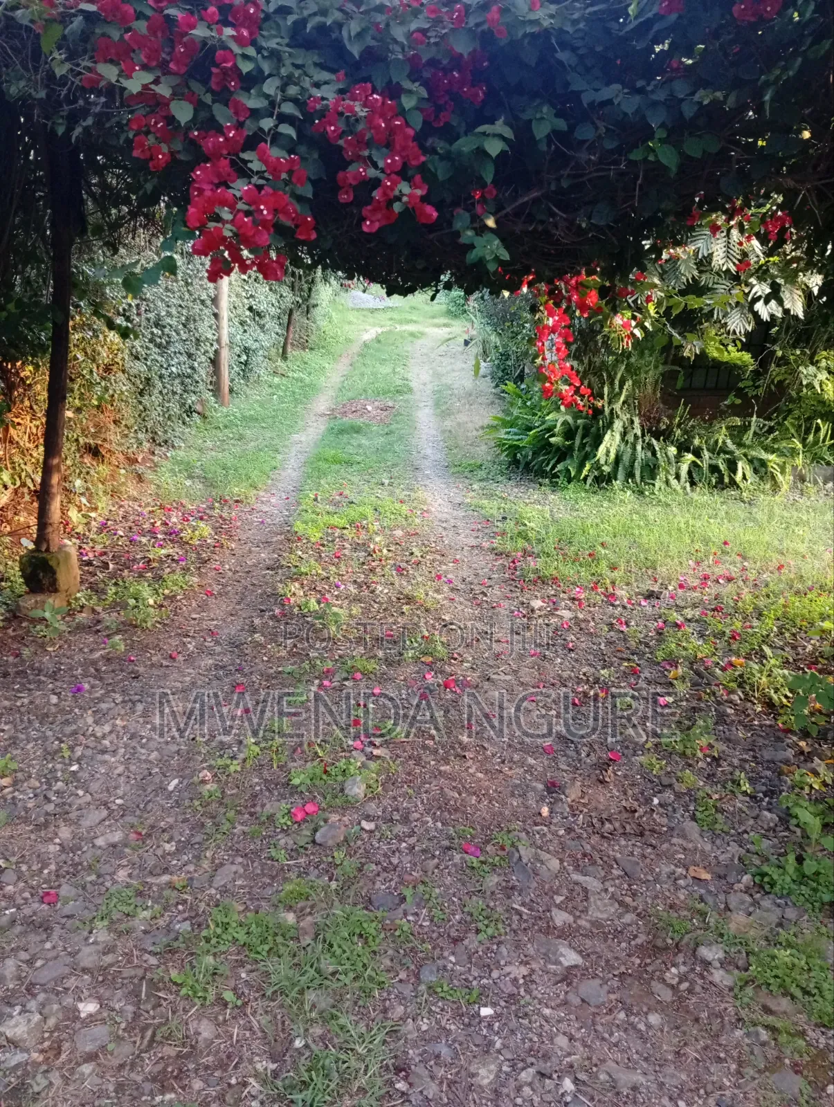Prime Plot for Sale in Kikuyu in Karai