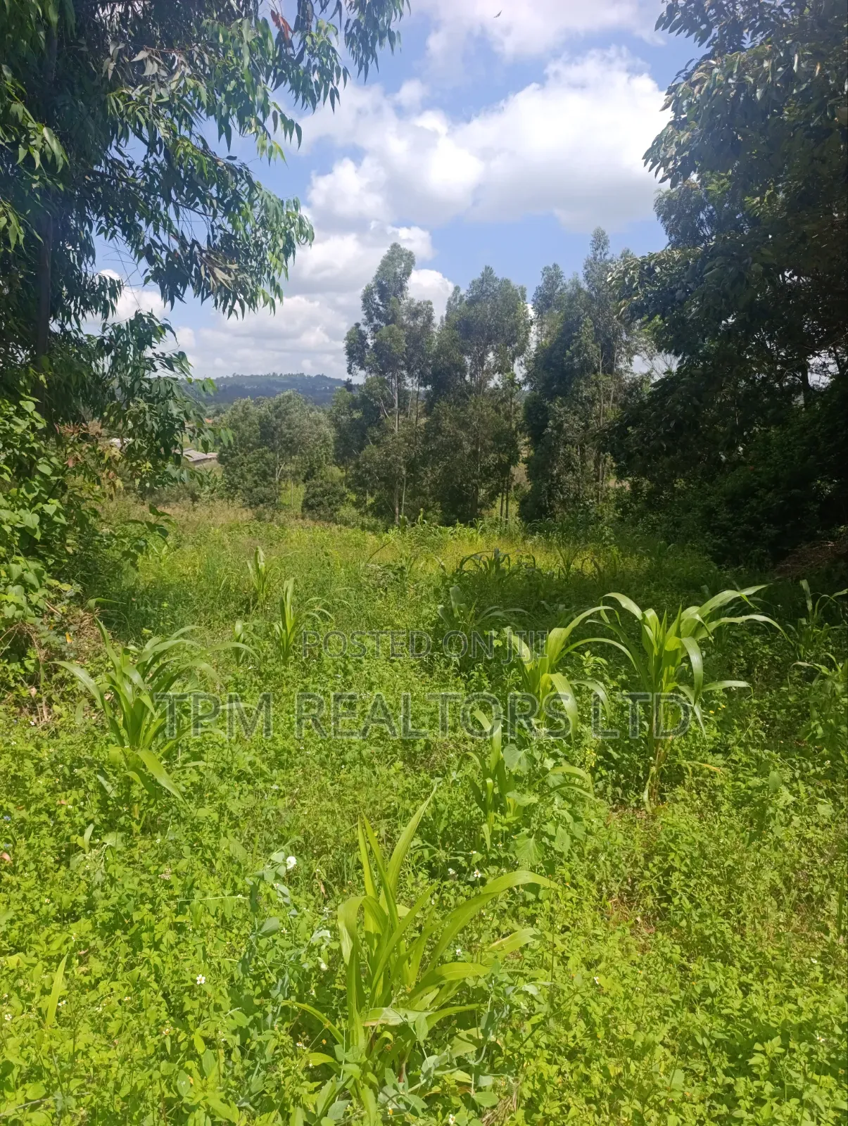 One Acre in Kikuyu in Karai