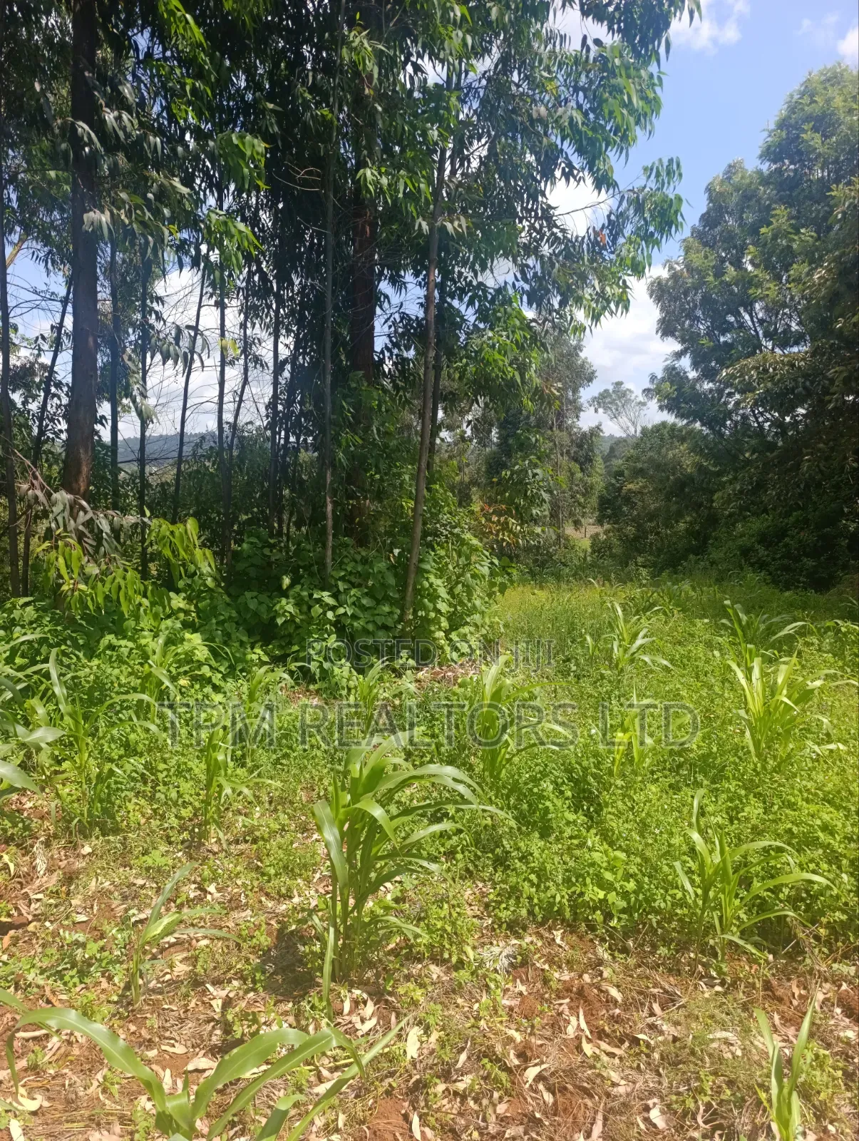 One Acre in Kikuyu in Karai