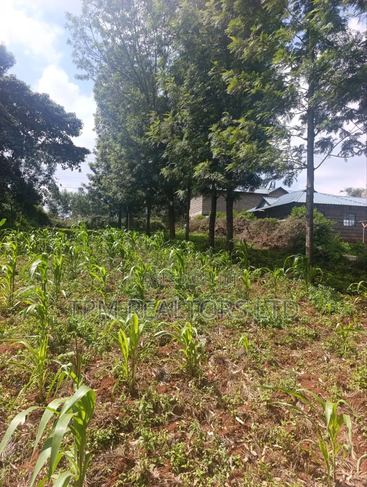 One Acre in Kikuyu in Karai