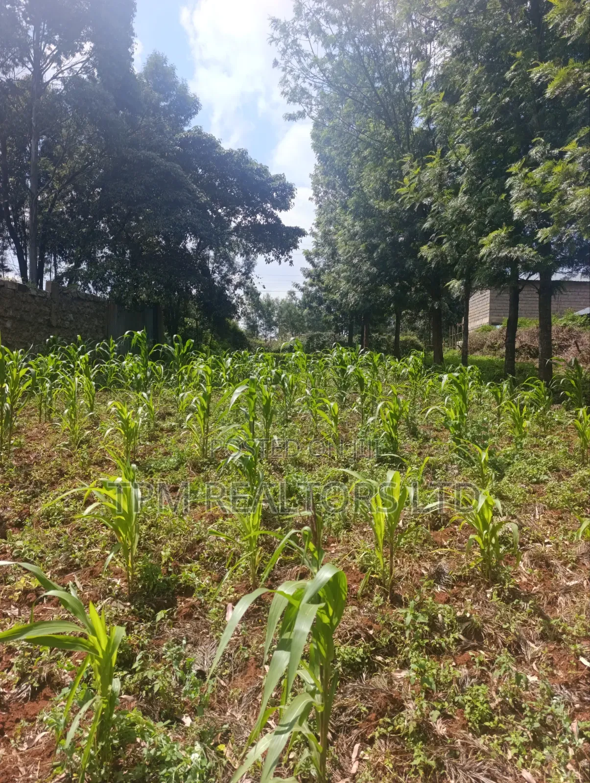 One Acre in Kikuyu in Karai
