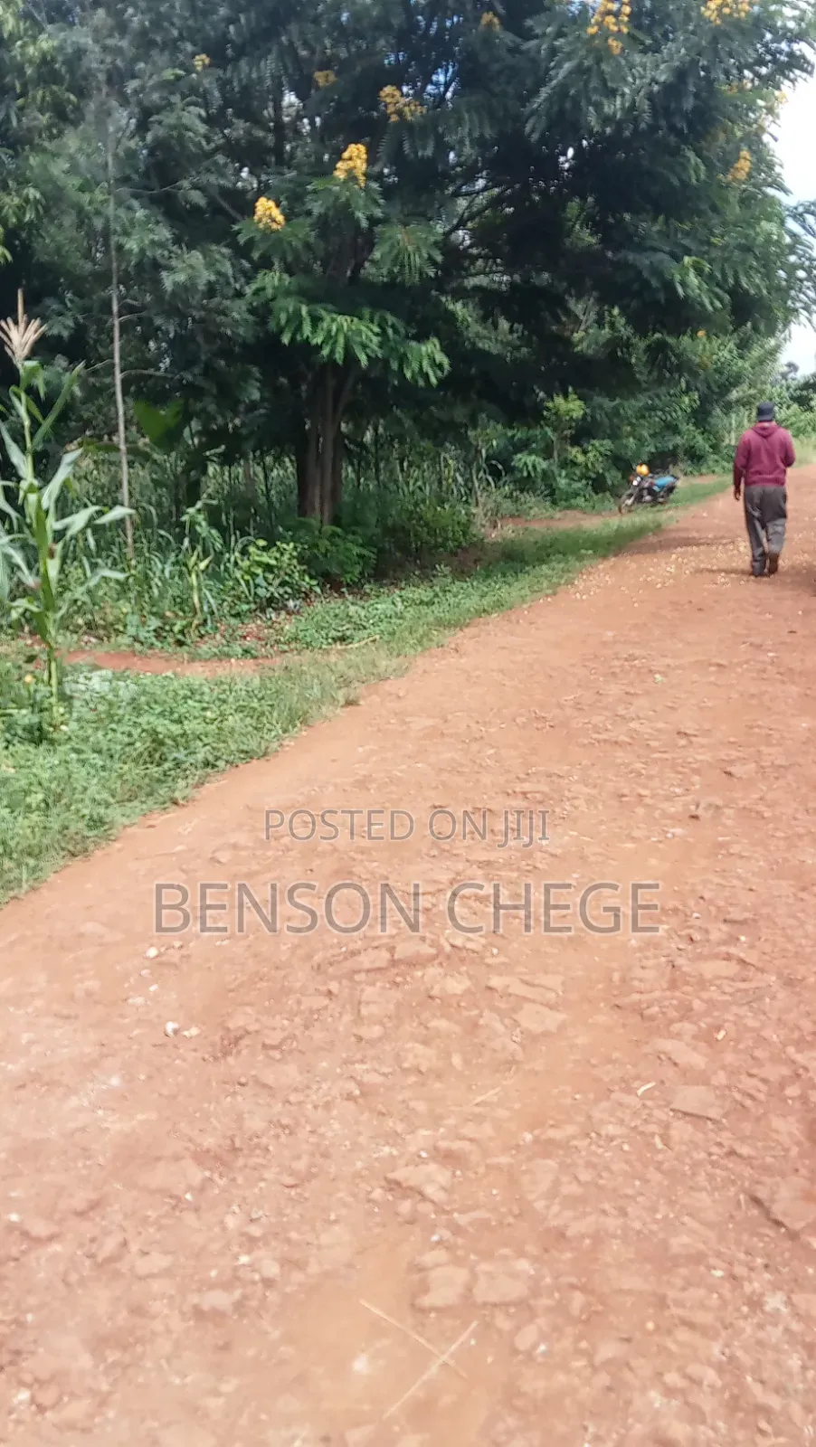 1.5acre Land for Sale in Kambirwa Loc20 in Mbiri