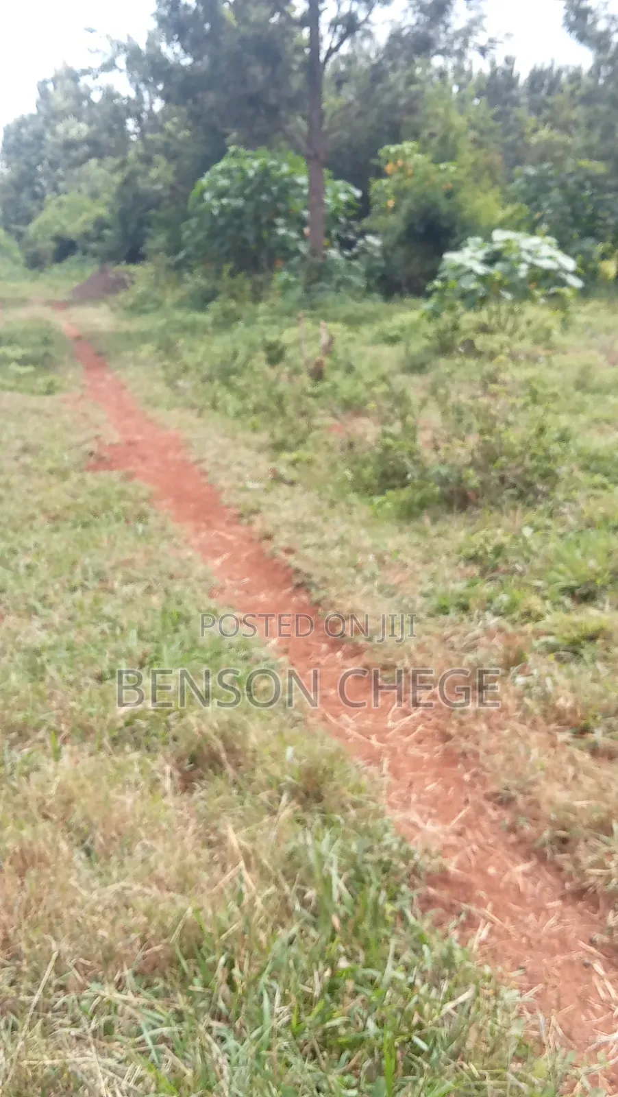 100by100plot for Sale at Kambirwa Murang'A in Mbiri