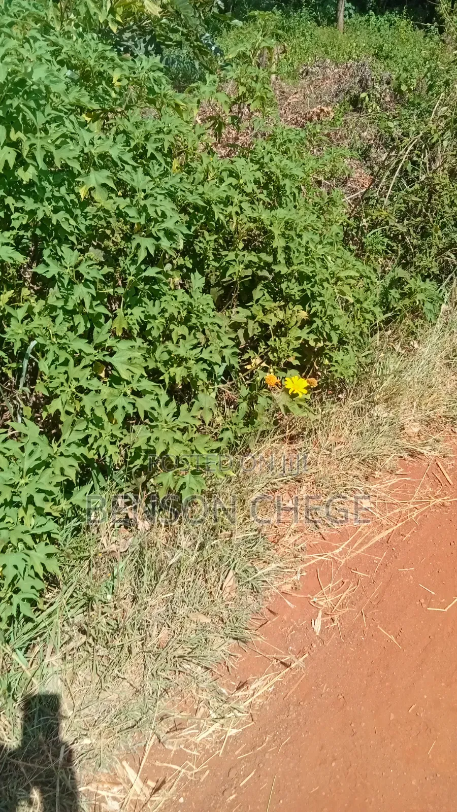 1.5acre Land in Mirira Murang'a County in Mbiri