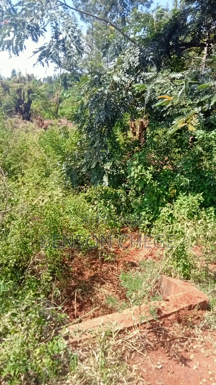 1.5acre Land in Mirira Murang'a County in Mbiri