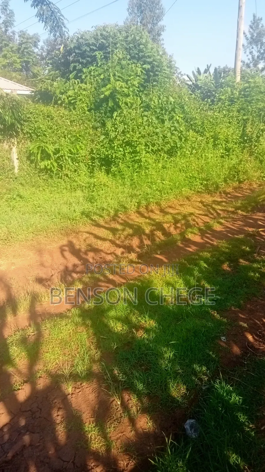 100by100 Plot for Sale in Maragua in Nginda