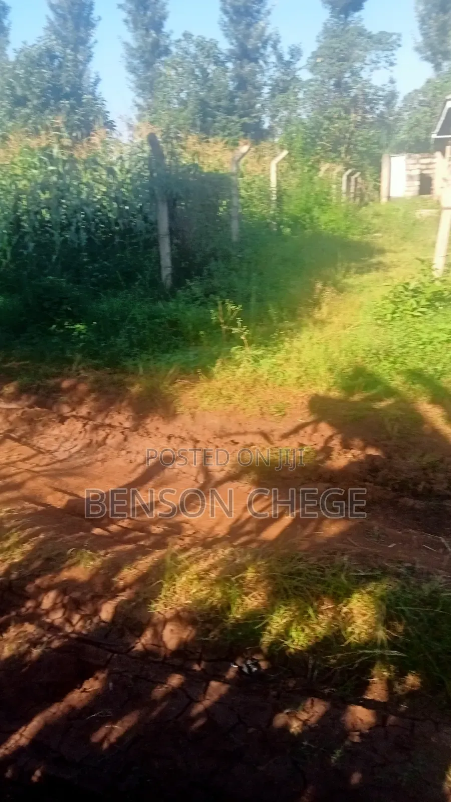 100by100 Plot for Sale in Maragua in Nginda