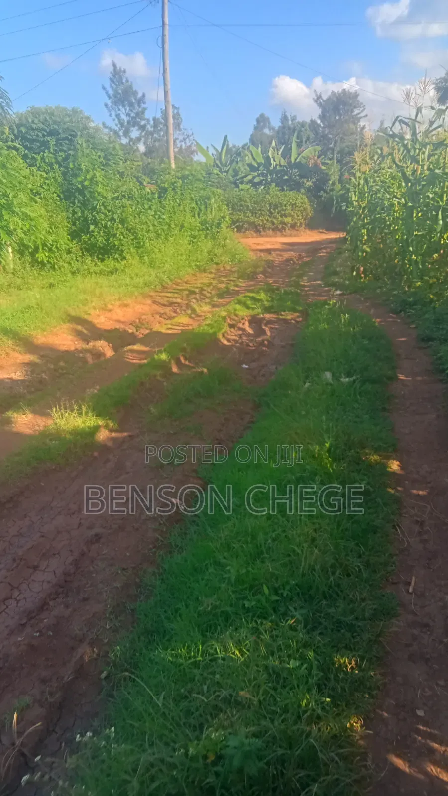 100by100 Plot for Sale in Maragua in Nginda