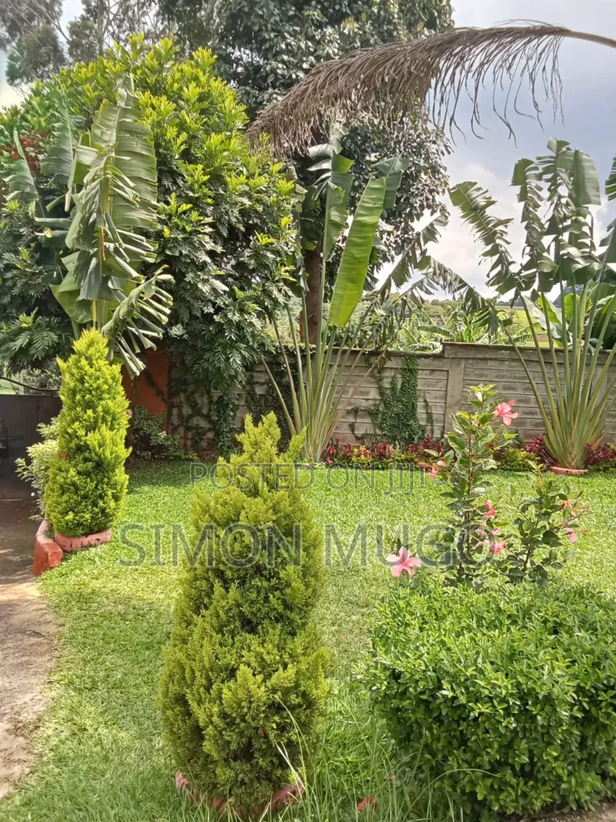 Kiambu Cianda Prime 1/2:Acre With A 3br And Perimeter Wall Ready Title in Cianda