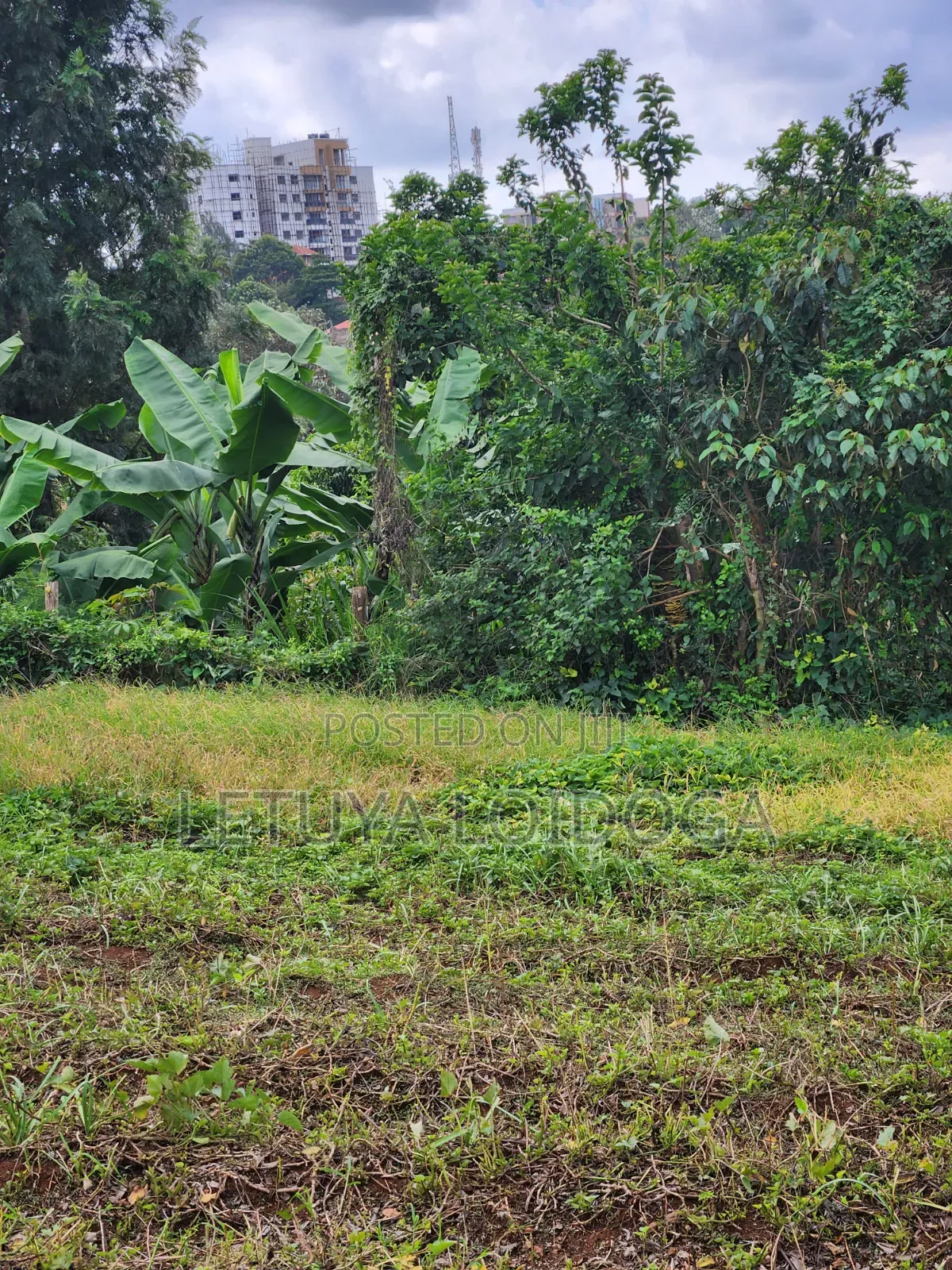 (6) 1⁄4 Acre Plots Ngong-Zambia in Ngong CBD