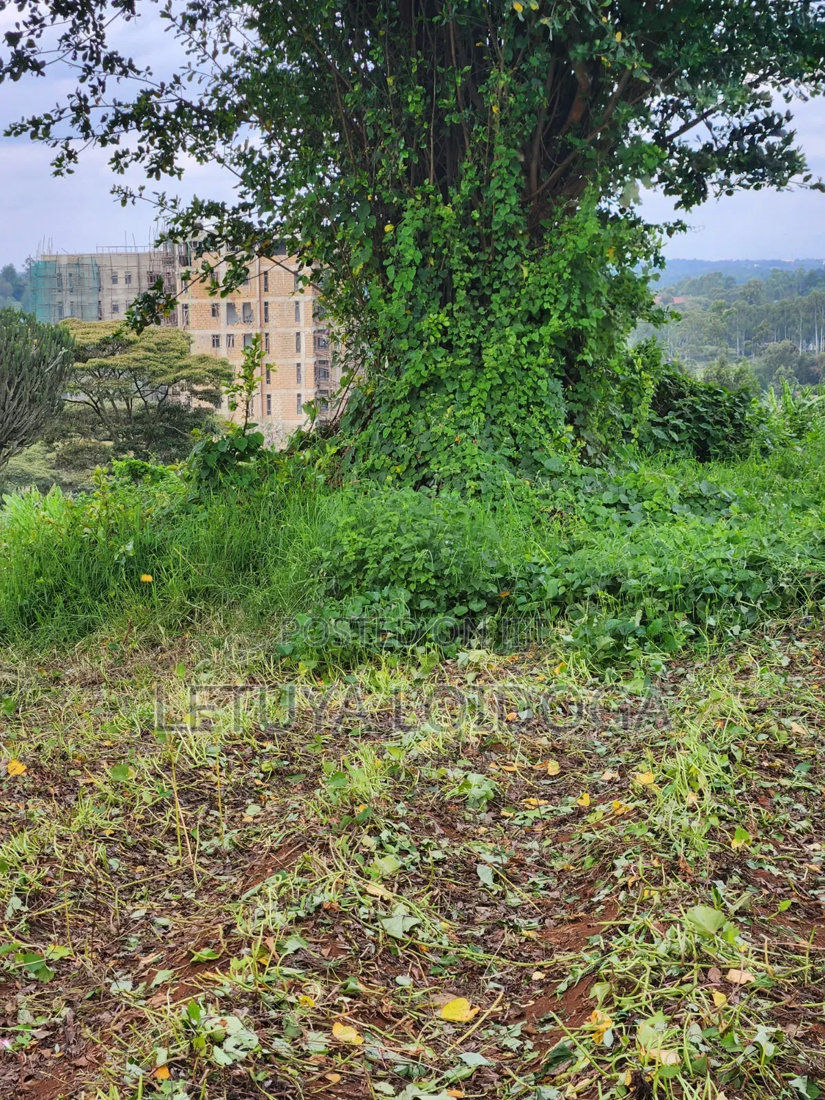 (6) 1⁄4 Acre Plots Ngong-Zambia in Ngong CBD