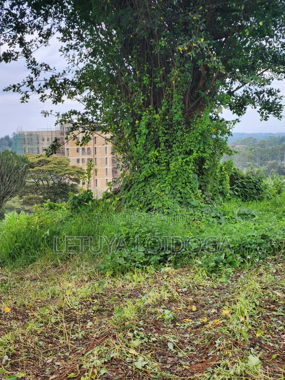 (6) 1⁄4 Acre Plots Ngong-Zambia in Ngong CBD