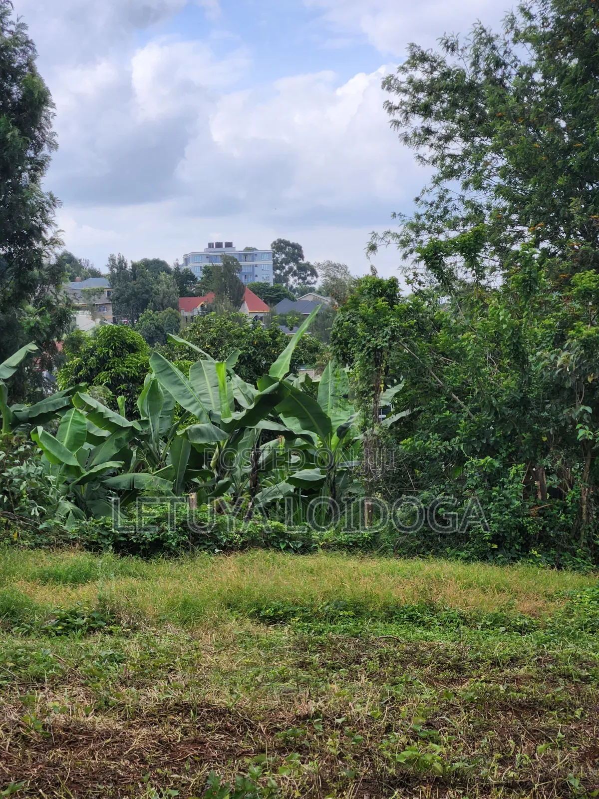 (6) 1⁄4 Acre Plots Ngong-Zambia in Ngong CBD