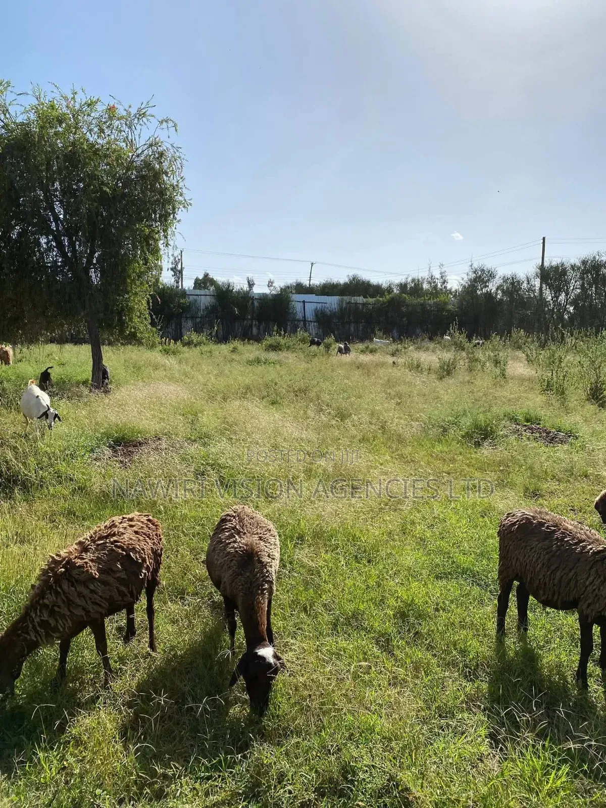 Prime 100*100 Plot for Sale Along Ruai-Githunguri Road Corner D in Ruai