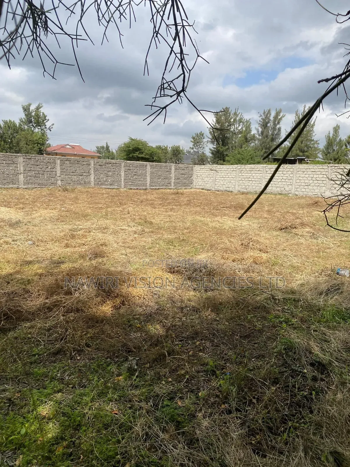 Prime 100*100 Plot for Sale in Ruai in Ruai