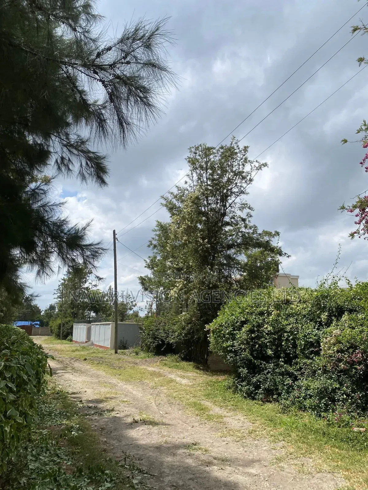 Prime 100*100 Plot for Sale in Ruai in Ruai