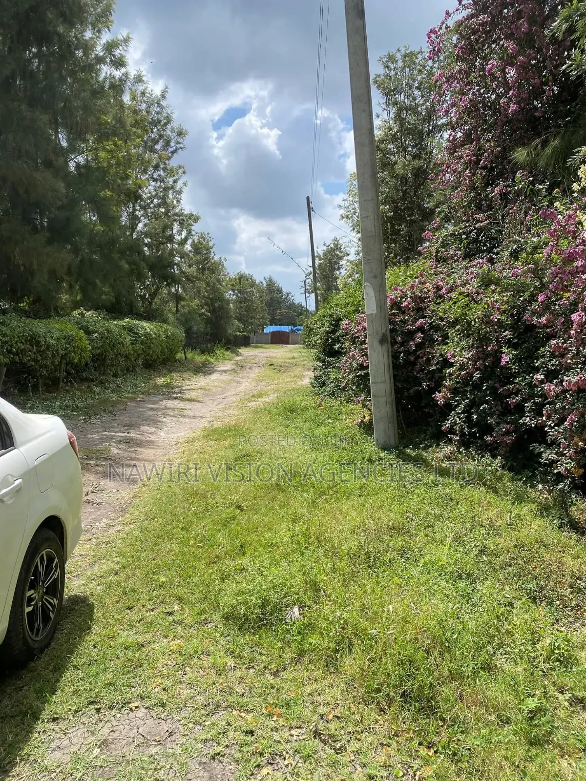 Prime 100*100 Plot for Sale in Ruai in Ruai