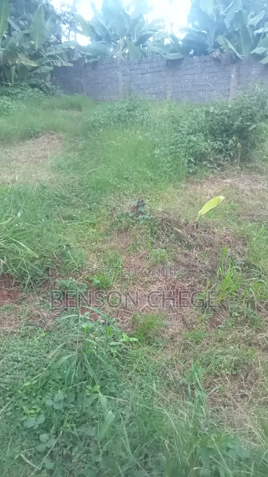 50by100plot for Sale in Maragua Town in Nginda