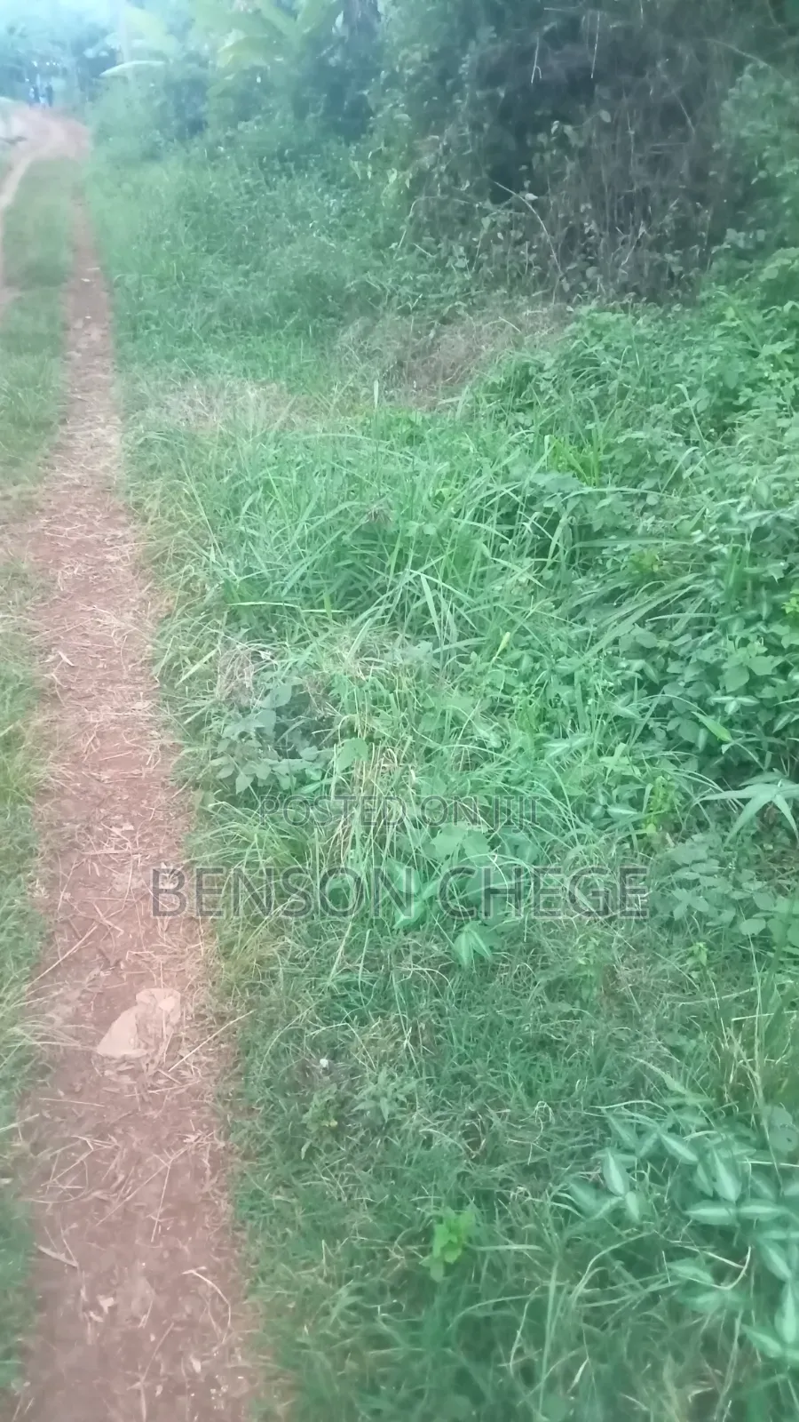 50by100plot for Sale in Maragua Town in Nginda