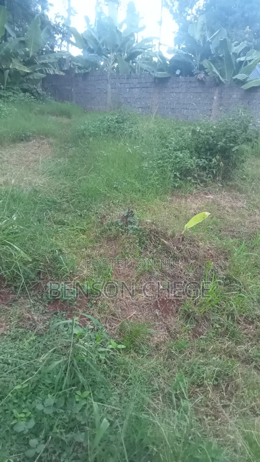 50by100plot for Sale in Maragua Town in Nginda