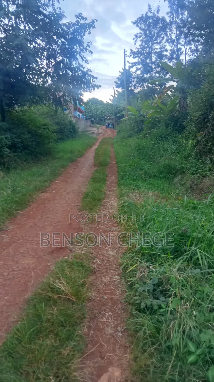 50by100plot for Sale in Maragua Town in Nginda
