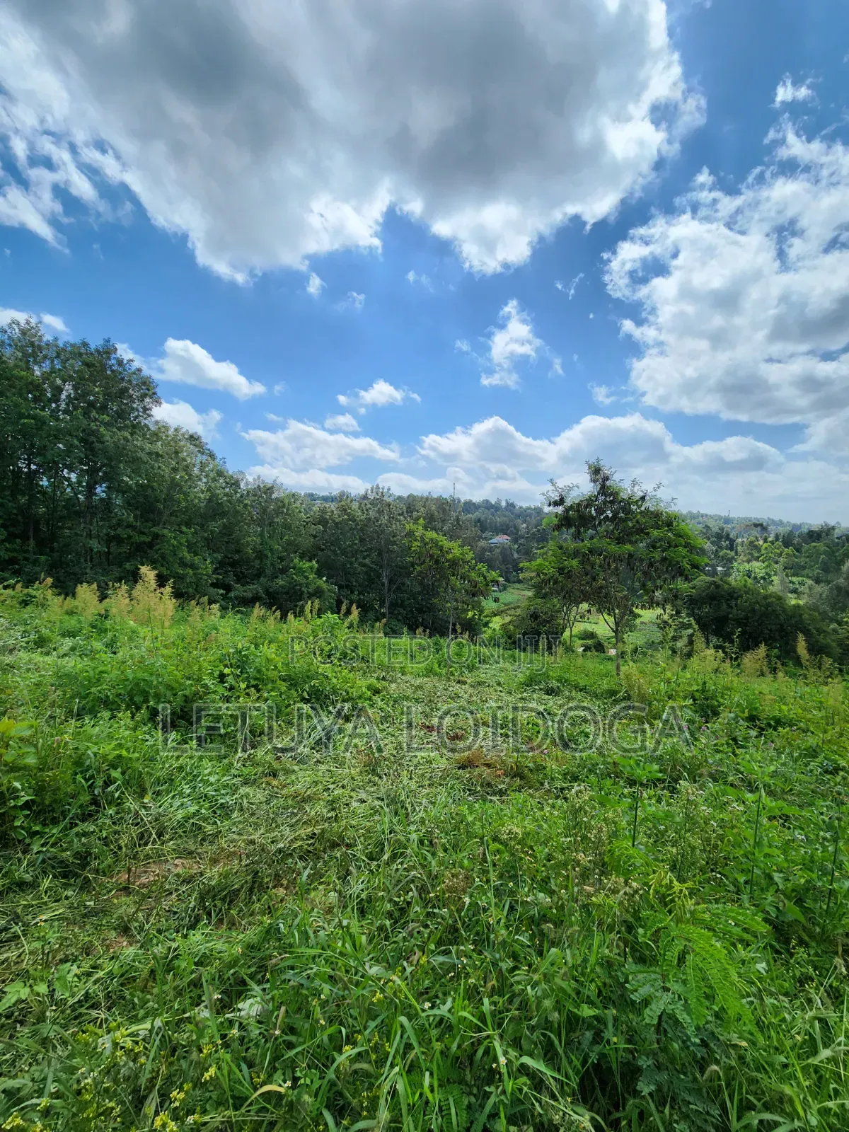 1⁄4 Acre Plots Ngong-Matasia in Matasia