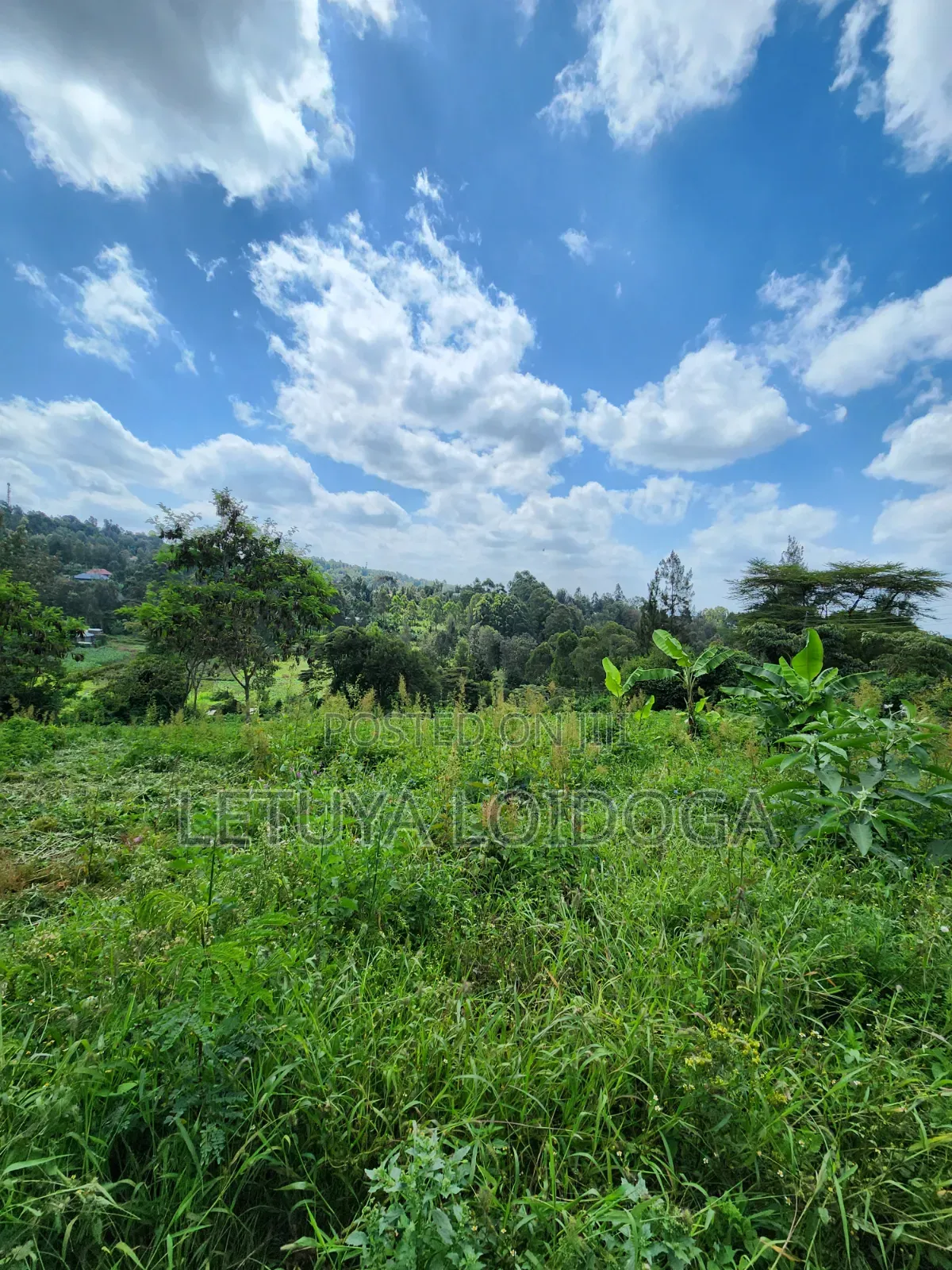 1⁄4 Acre Plots Ngong-Matasia in Matasia