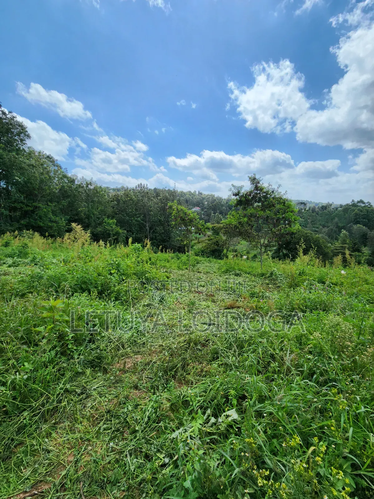 1⁄4 Acre Plots Ngong-Matasia in Matasia