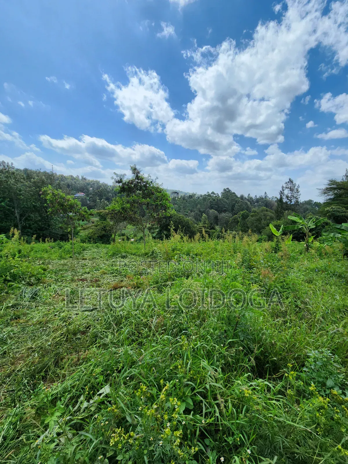 1⁄4 Acre Plots Ngong-Matasia in Matasia