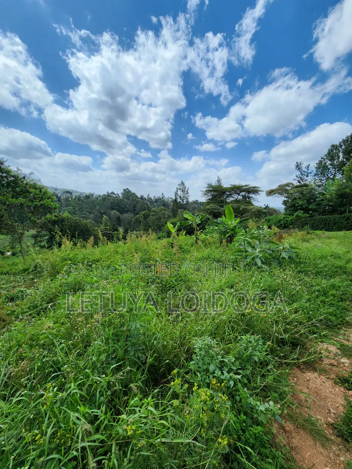1⁄4 Acre Plots Ngong-Matasia in Matasia