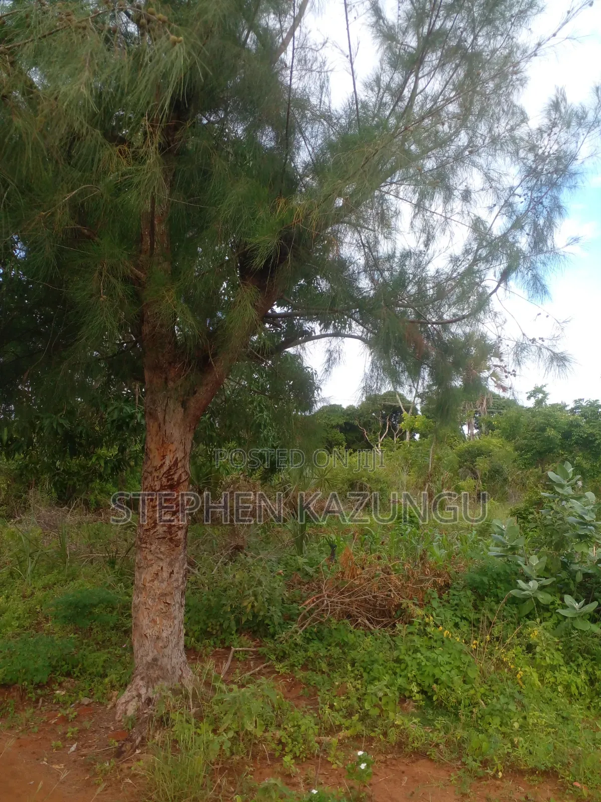 5 Acres Land 700 Metres From Beach in Ukunda