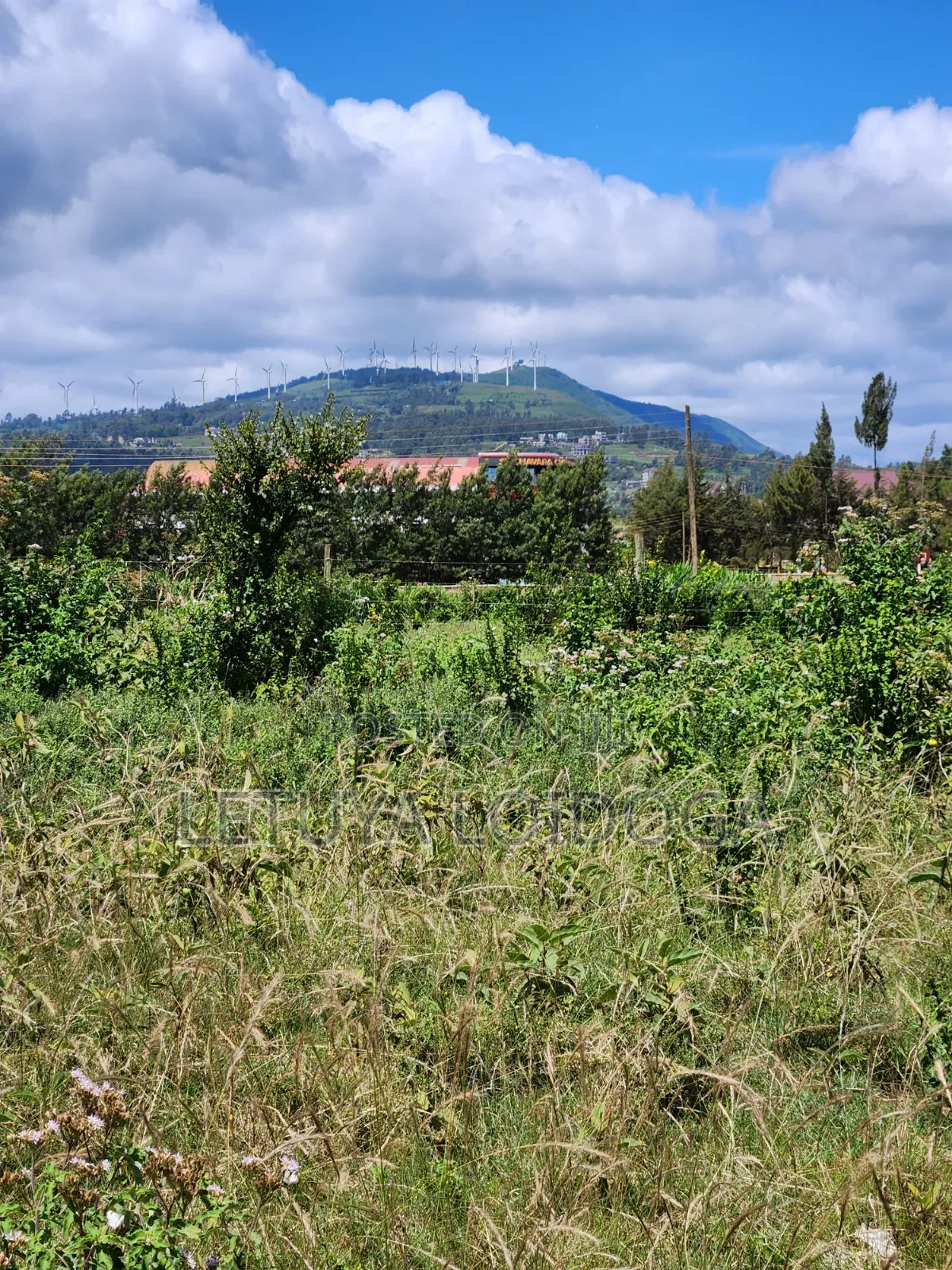 3⁄4 Acre, 1⁄4 Acre Ngong-Kibiko in Kibiku