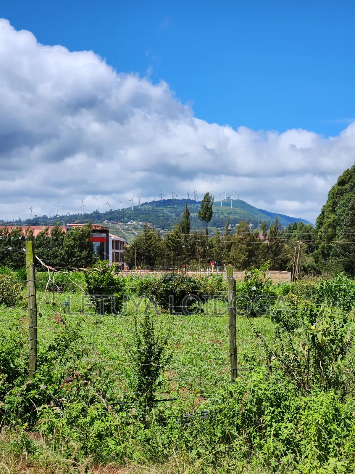 3⁄4 Acre, 1⁄4 Acre Ngong-Kibiko in Kibiku