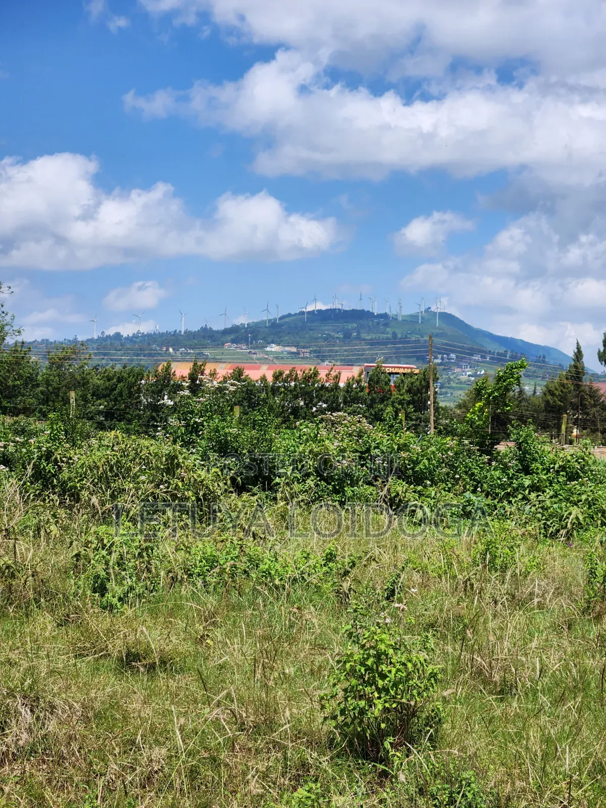 3⁄4 Acre, 1⁄4 Acre Ngong-Kibiko in Kibiku