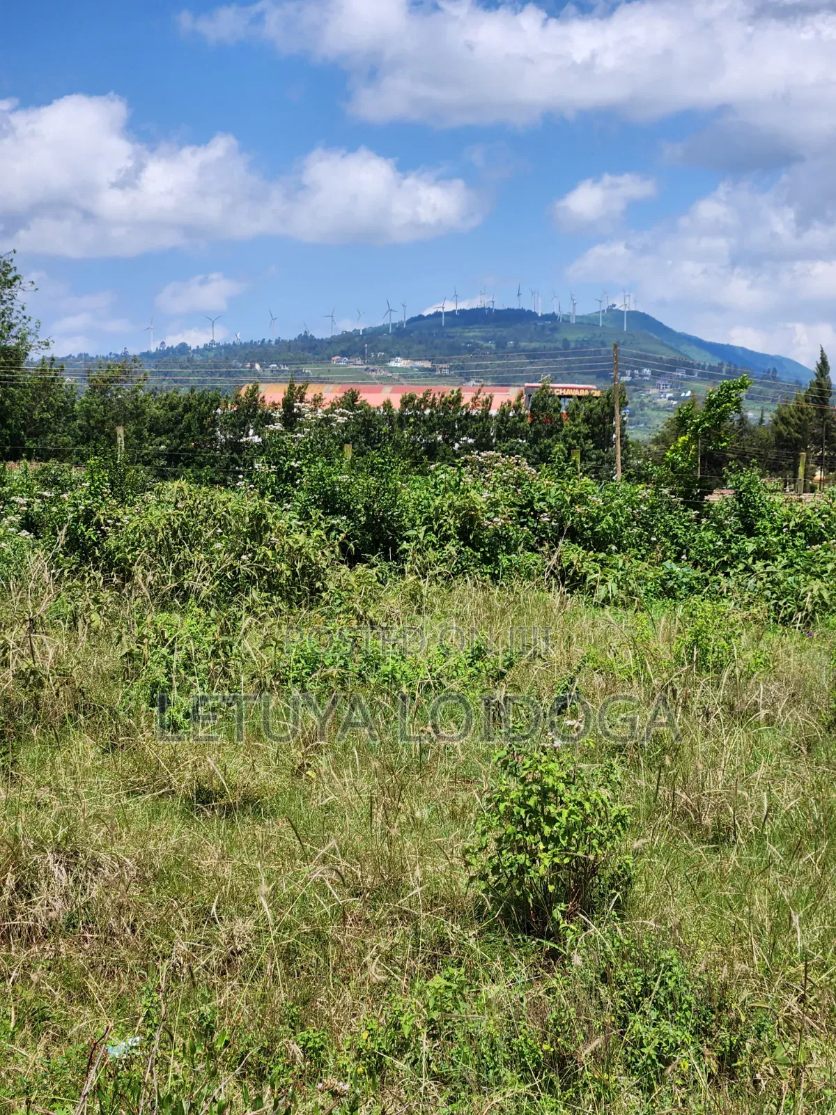 3⁄4 Acre, 1⁄4 Acre Ngong-Kibiko in Kibiku