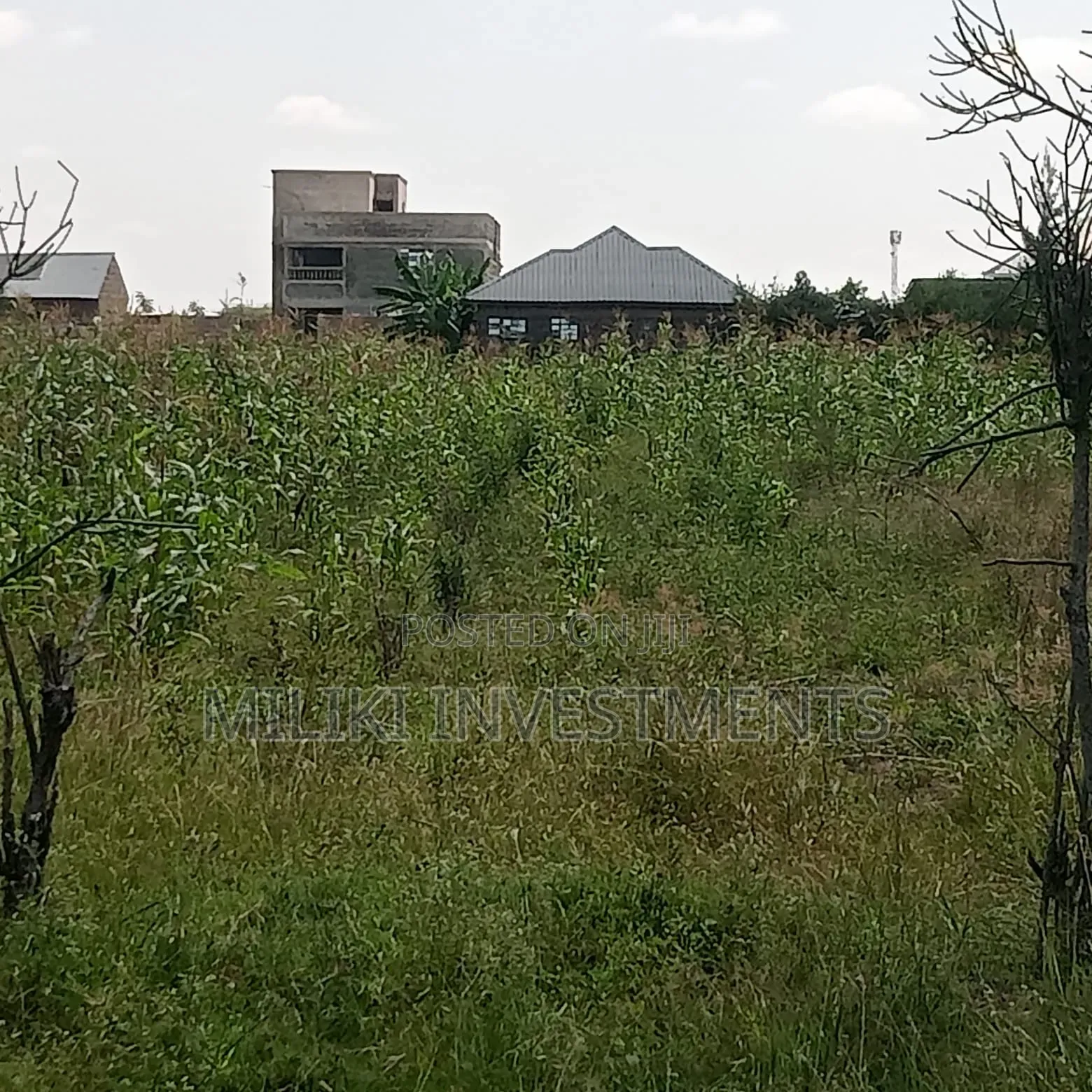 40 by 60 Ft Plot on Sale at Joska in Joska