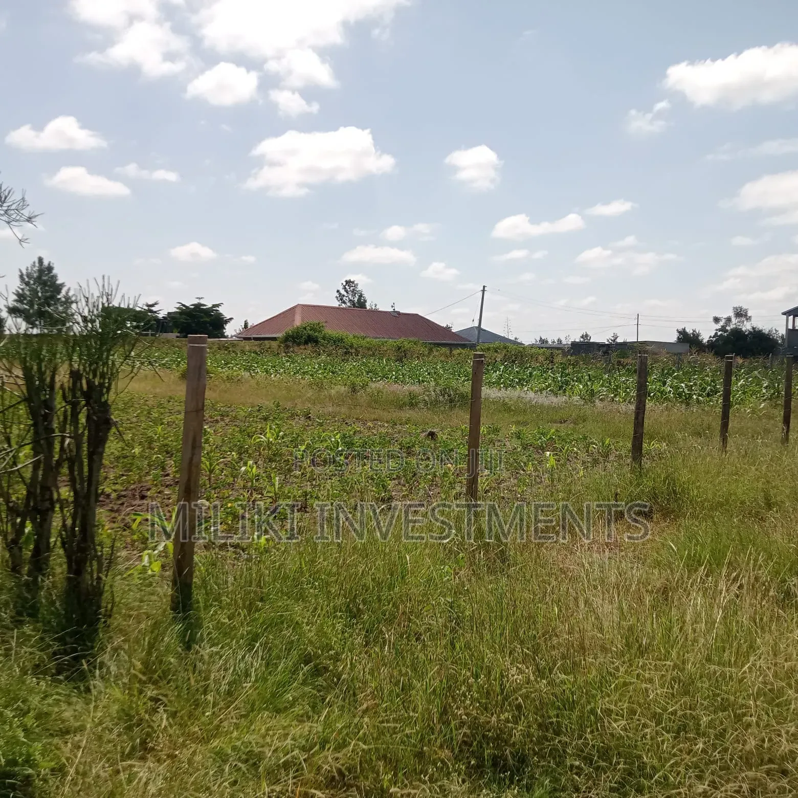 40 by 60 Ft Plot on Sale at Joska in Joska