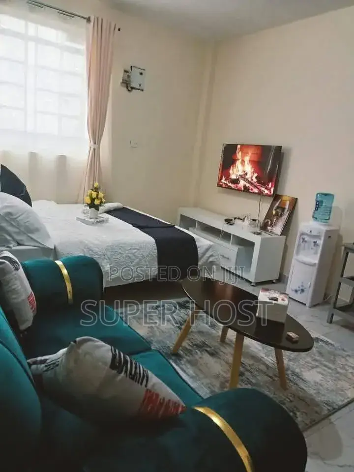Furnished Studio Airbnb in South B in South B
