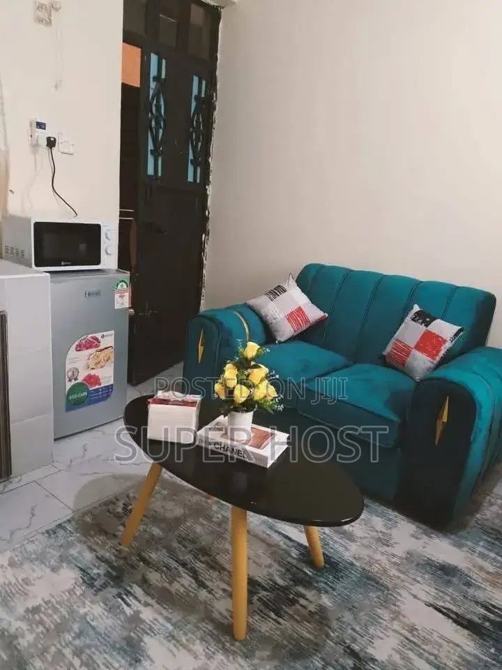 Furnished Studio Airbnb in South B in South B