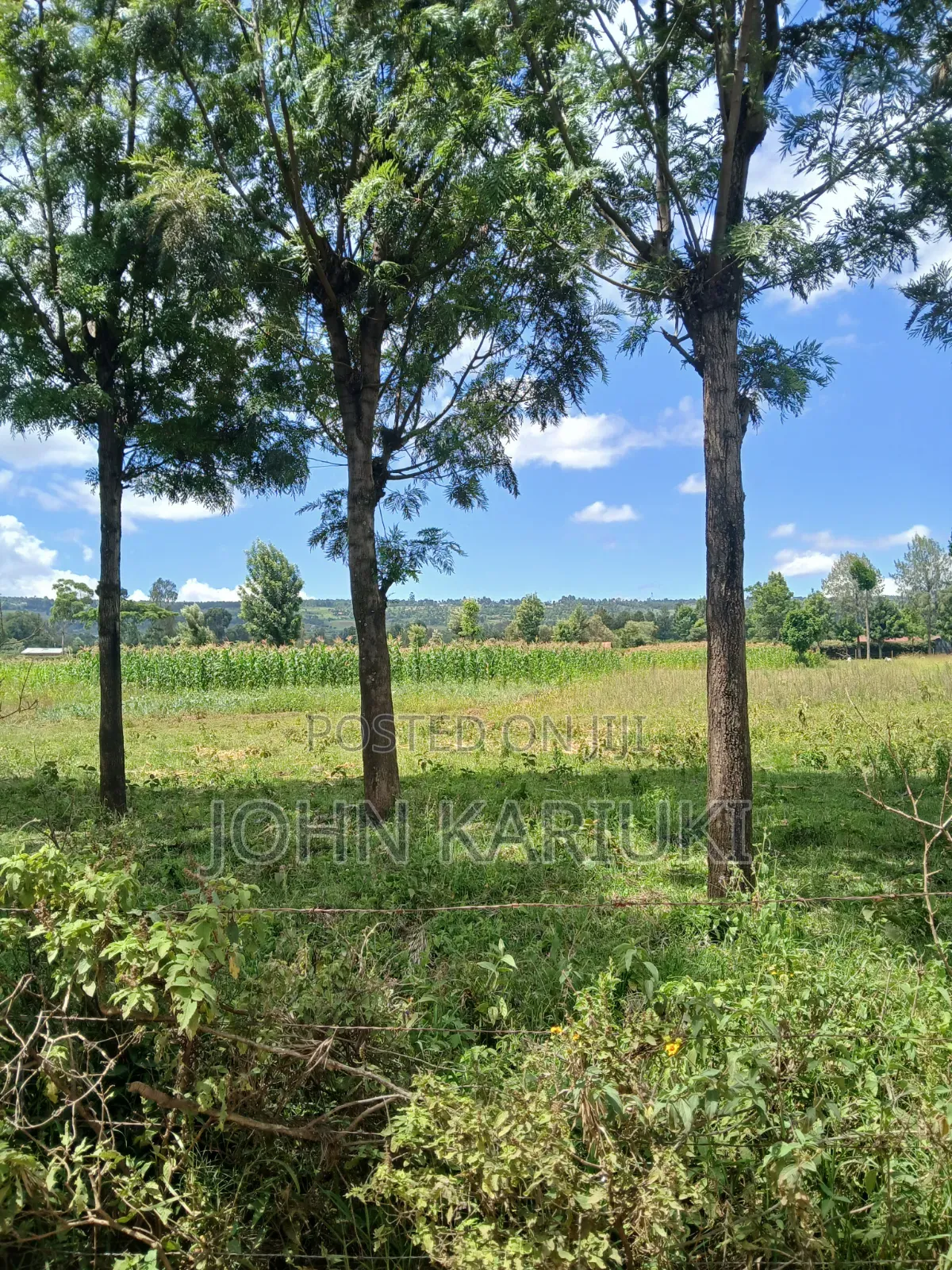 One Acre Land in Naivasha Nyamathi Near Vineyard School and Sunshine in Naivasha East