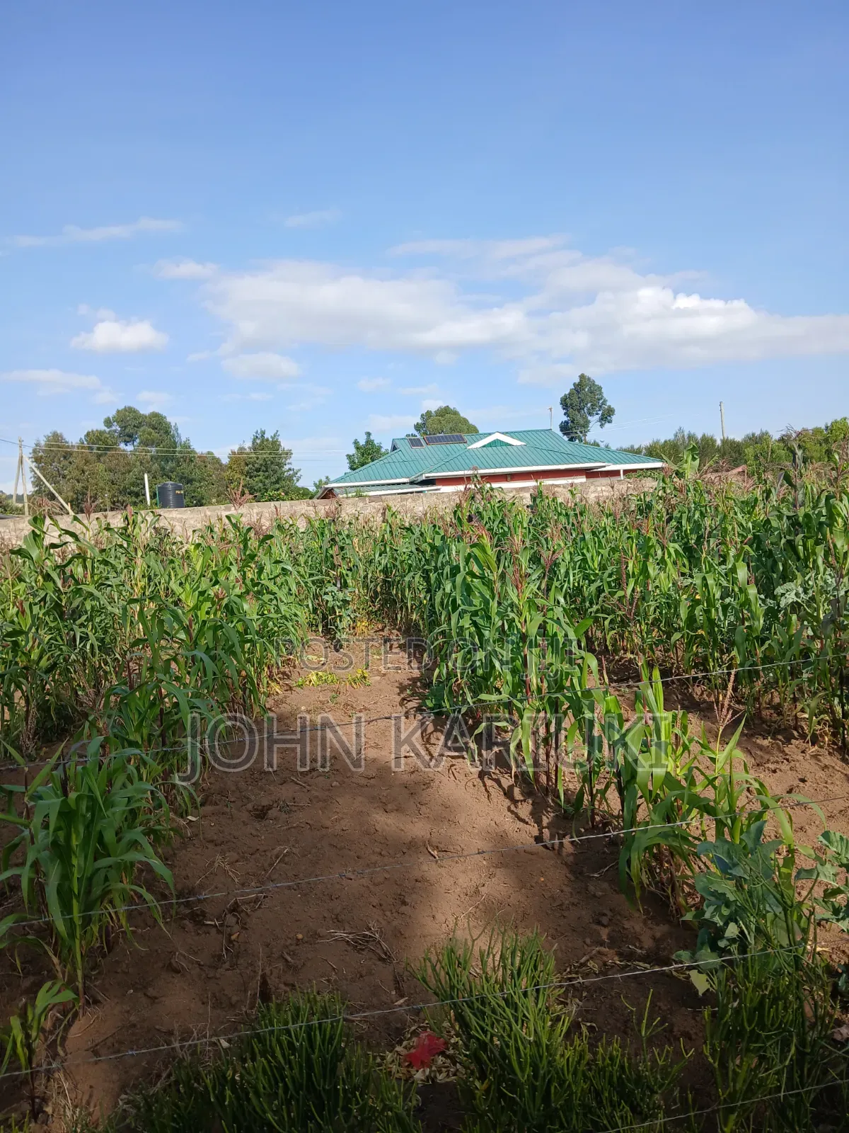 50x100 Plots in Naivasha Karai Opposite Keroche Entrance One Kilometre in Naivasha East