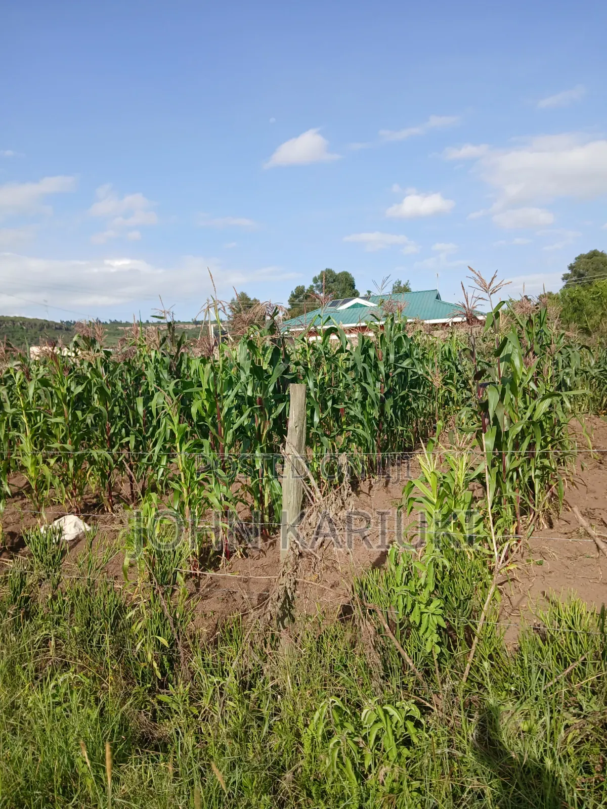 50x100 Plots in Naivasha Karai Opposite Keroche Entrance One Kilometre in Naivasha East