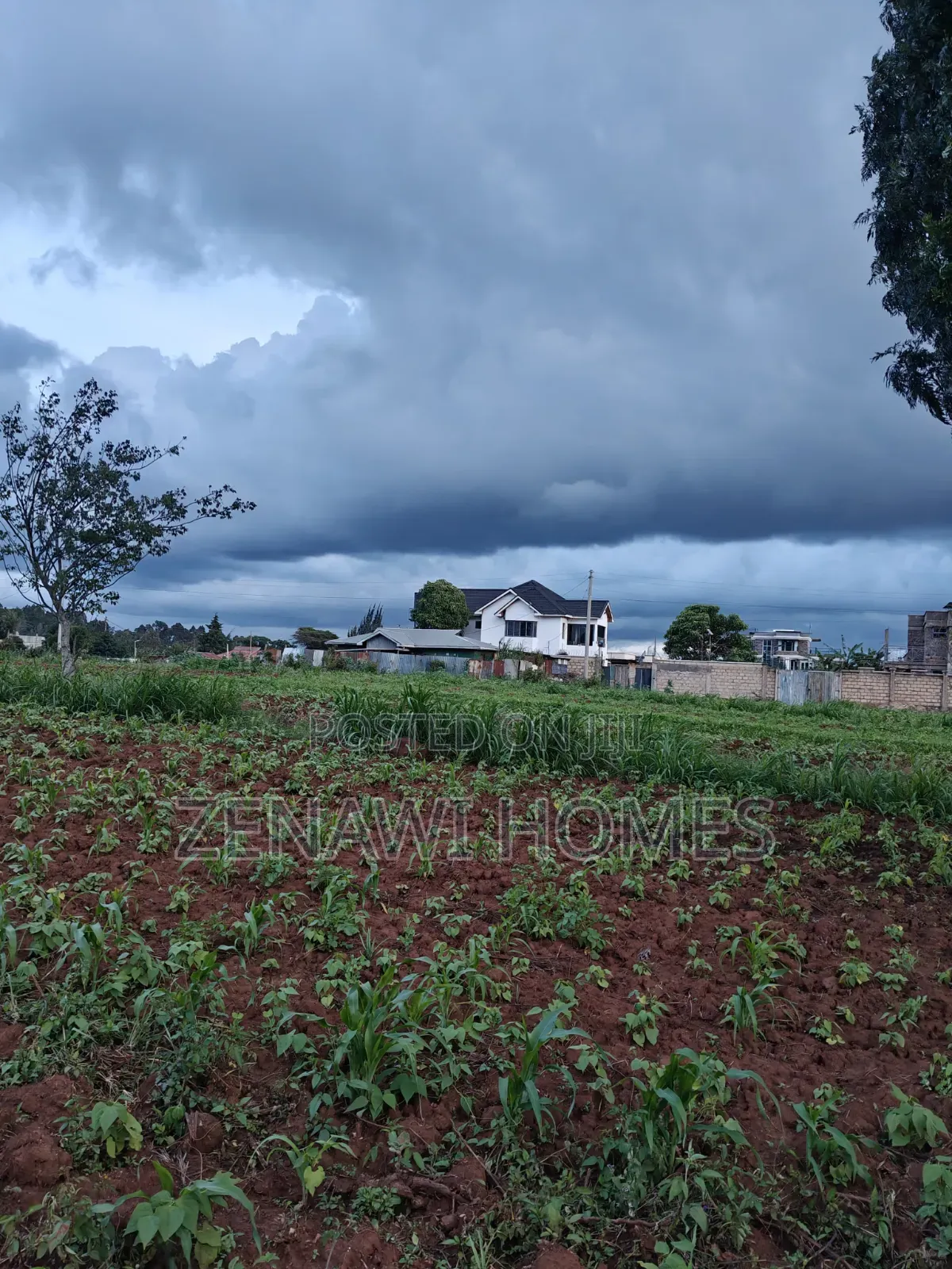 Buy and Build in Kikuyu Kamangu:Mj in Thogoto