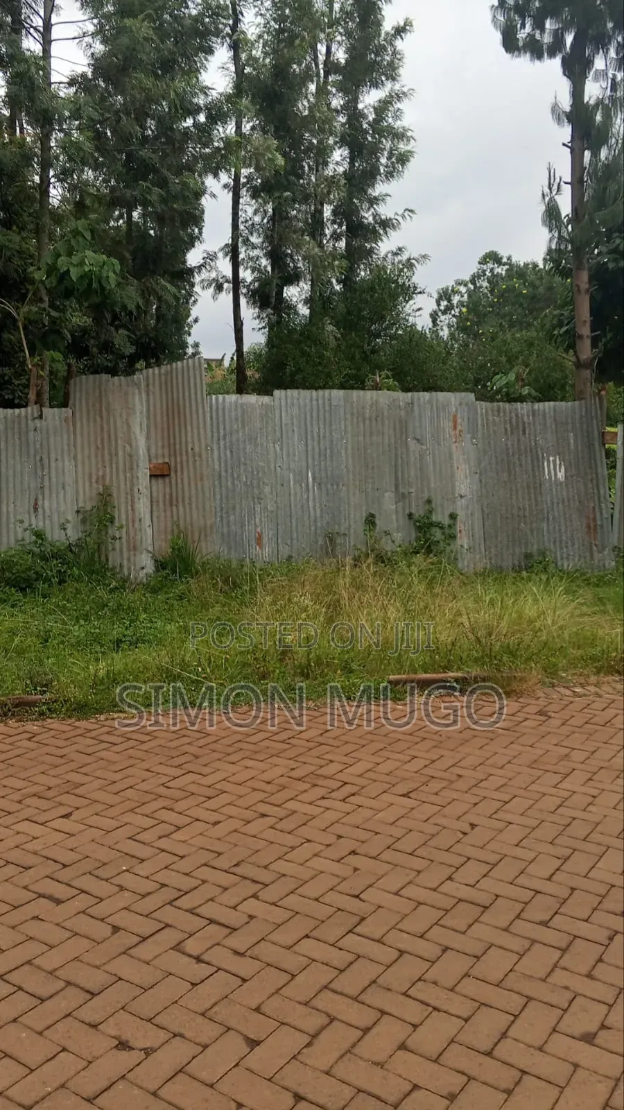 Safari Park Thome 1/2 Acre Ready Title Quick Sale 42 Millions in Thome