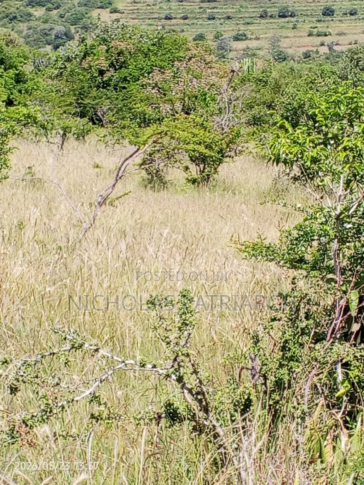 10 Acres Wamunyu Lema Selling at Per Acre in Mua Hills